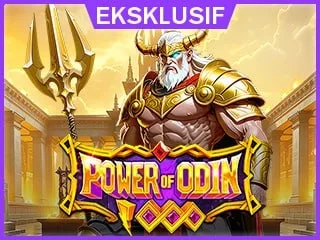 Power Of Odin 1000